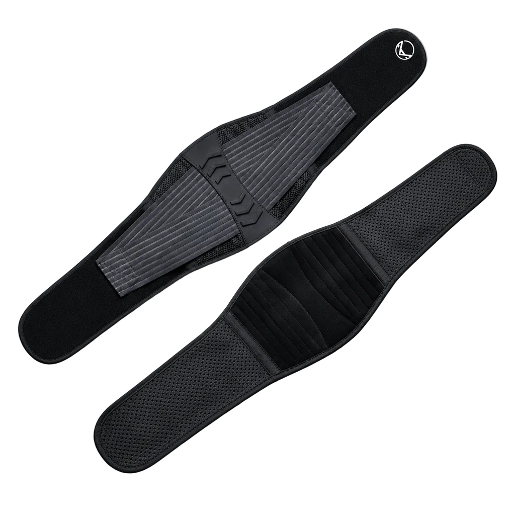 Back Support Brace
